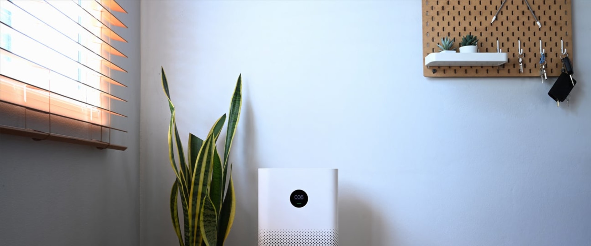 The Benefits and Risks of Ionizing Air Purifiers