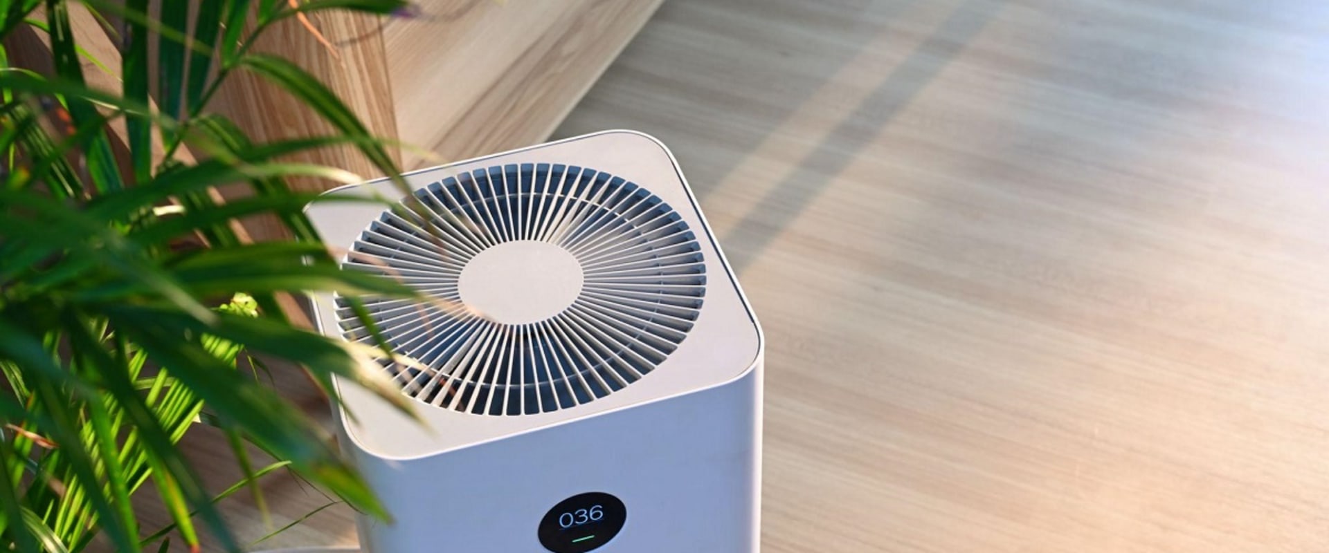 How Often Should You Run an Ionizer for Optimal Air Purification?