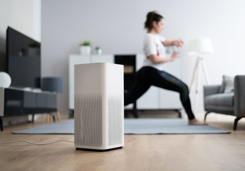 Do Air Purifiers Need an Ionizer? - A Comprehensive Guide